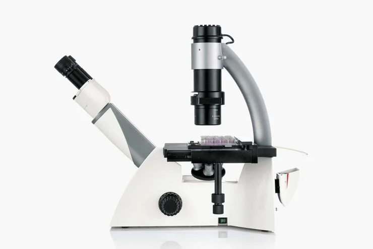 DMi1